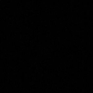 Meet your Posher, Mikayla